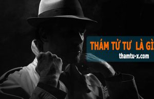thám tử tư là gì, chức năng nhiệm vụ