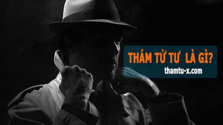 thám tử tư là gì, chức năng nhiệm vụ