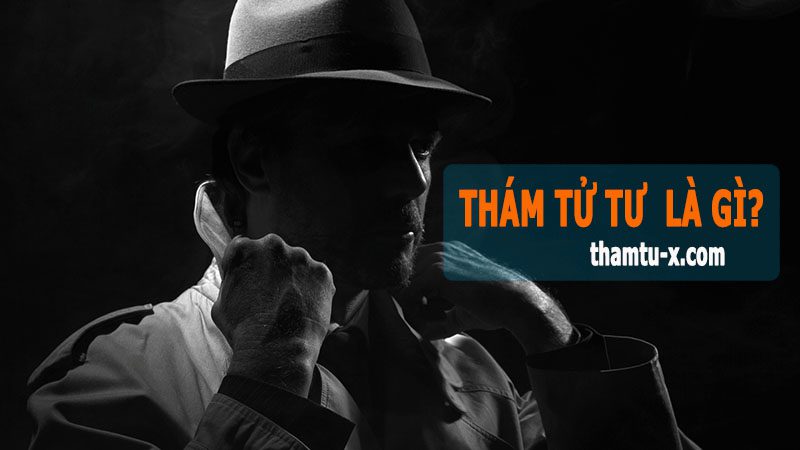 thám tử tư là gì, chức năng nhiệm vụ