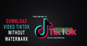 How to download tiktok videos without logo