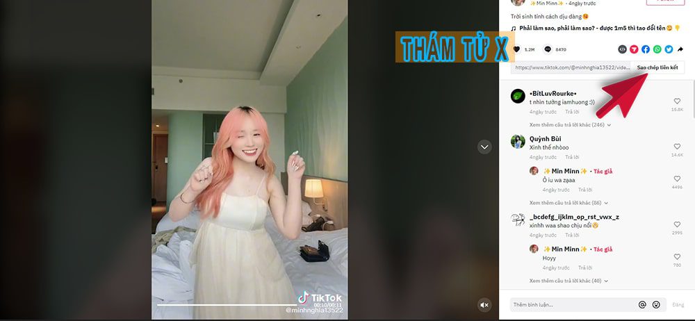 tiktok video download no logo