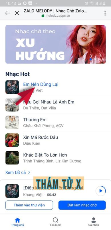 Dịch Vụ Thám Tử Tư X