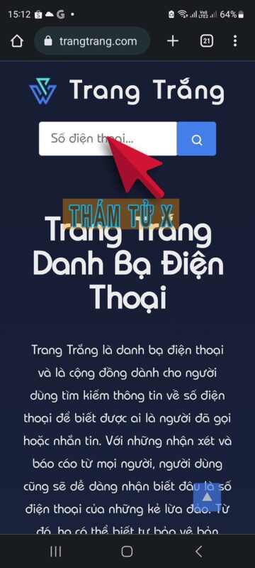 Dịch Vụ Thám Tử Tư X