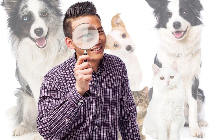 Thám tử truy tìm thú cưng thất lạc là nghề 'việc nhẹ lương cao'